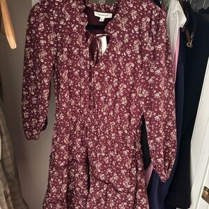 Francesca’s Floral Burgundy Dress
